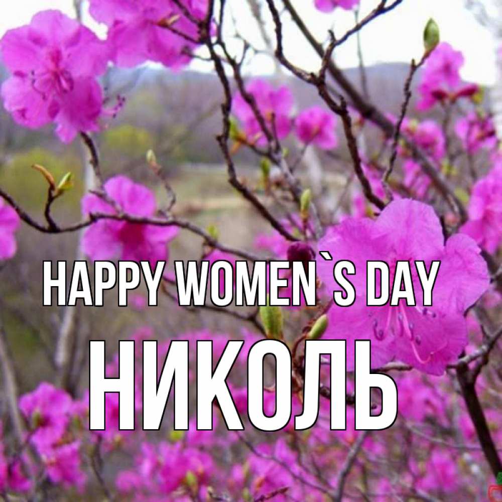 Greetings card с именем, Николь happy women`s day международный женский день Greetings with text for free download 
